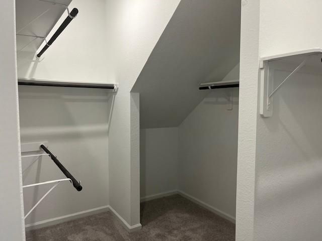 28914 Rustic Robin Lane, Hockley, TX 77447