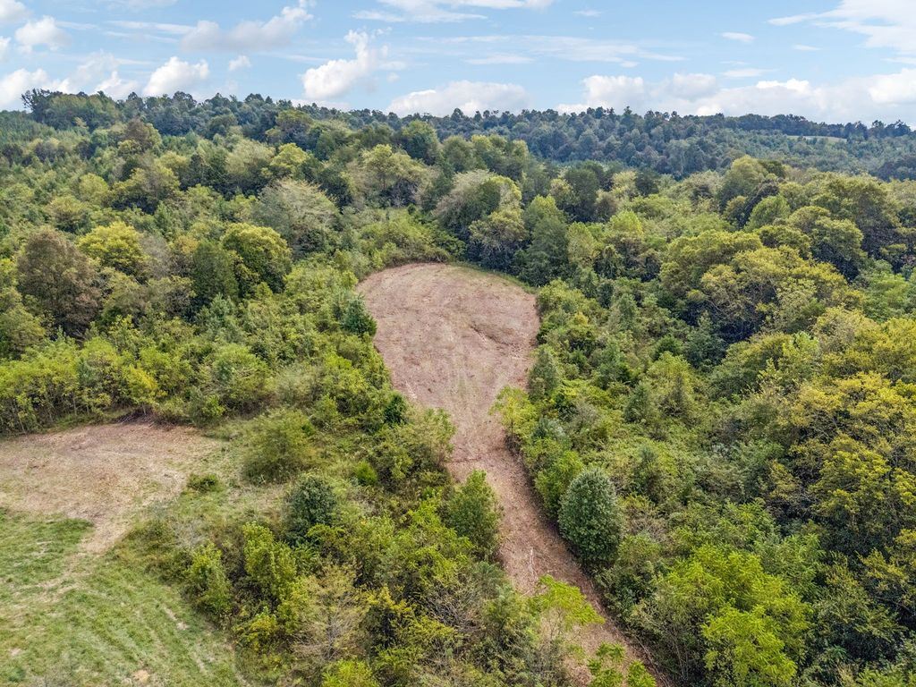 0 Shoal Creek Road, Goodspring, TN 38460