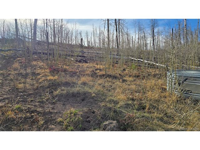 880 Slaoui Pl, Fort Garland, CO 81133