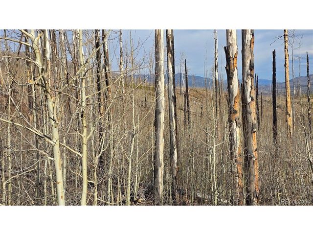 880 Slaoui Pl, Fort Garland, CO 81133