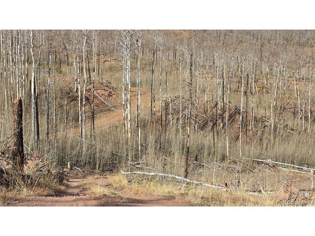 880 Slaoui Pl, Fort Garland, CO 81133