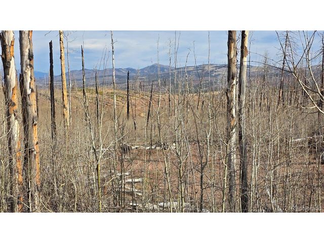 880 Slaoui Pl, Fort Garland, CO 81133