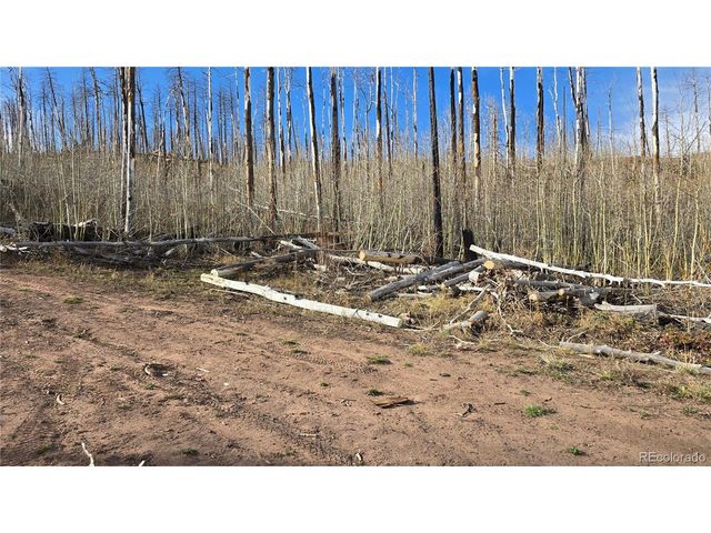 880 Slaoui Pl, Fort Garland, CO 81133