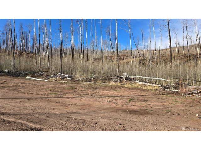 880 Slaoui Pl, Fort Garland, CO 81133