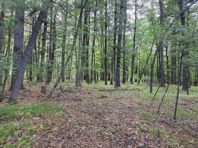 N3940 FOREST DRIVE, Hancock, WI 54943