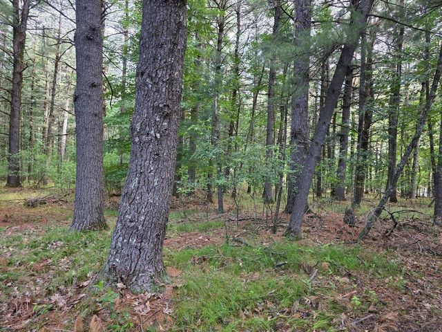 N3940 FOREST DRIVE, Hancock, WI 54943