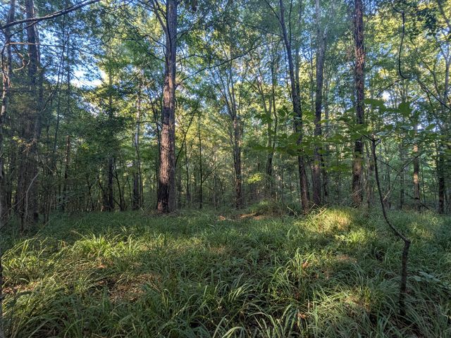 10 New Market Road, Trenton, SC 29847