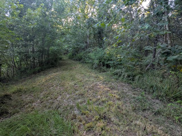 10 New Market Road, Trenton, SC 29847