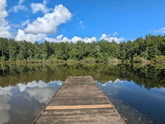 10 New Market Road, Trenton, SC 29847