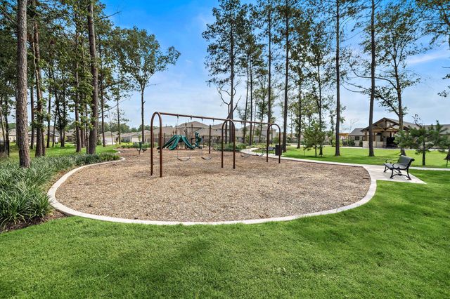 20838 Wildbird Cherry Lane, Porter, TX 77365