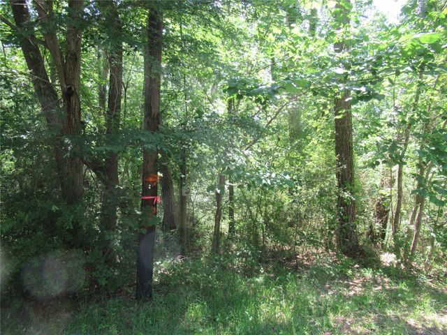 385 Noel, Livingston, TX 77351