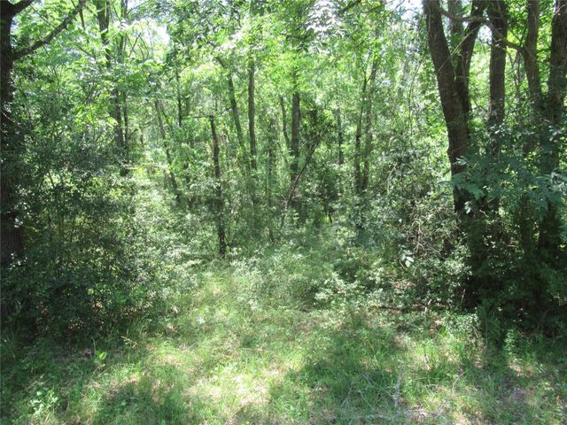 385 Noel, Livingston, TX 77351