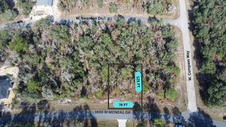 1655 W MCNEAL DRIVE, Citrus Springs, FL 34434