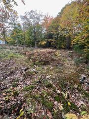 Lot 14 Daniel Drive, Wakefield, NH 03830