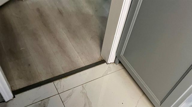 519 Tallow Drive, Conroe, TX 77385