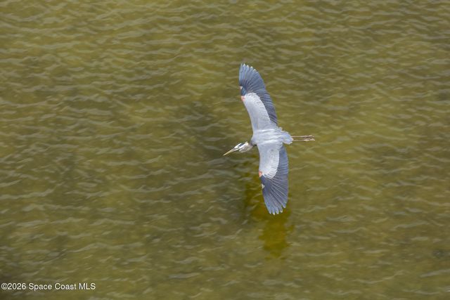 480 Sail Lane 206, Merritt Island, FL 32953