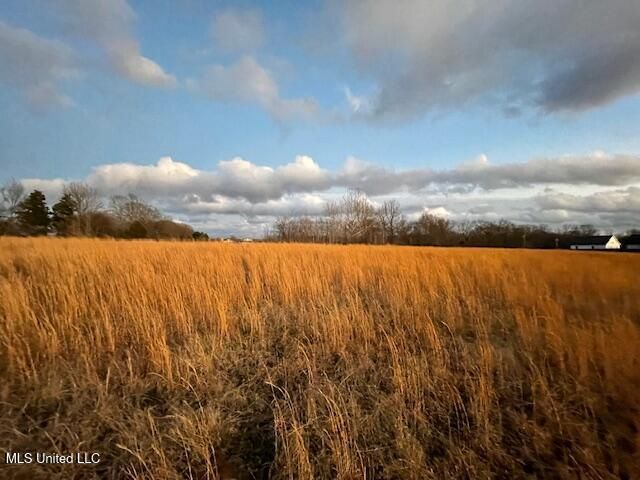 Winter Oaks, Lamar, MS 38642