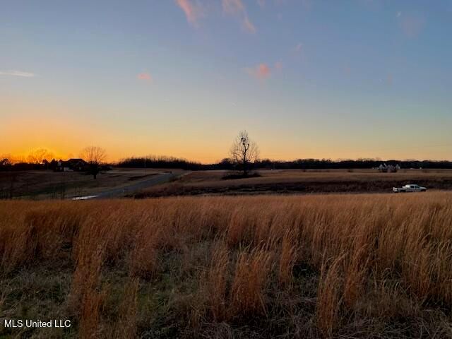 Winter Oaks, Lamar, MS 38642