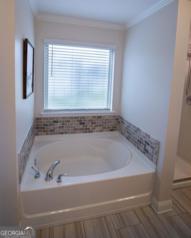 36 NE Thunderhawk Lane NE, Rydal, GA 30171