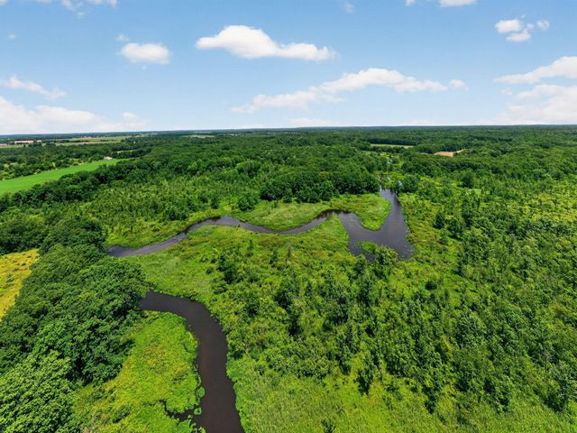 64030 Chain Lake Street, Calvin Twp, MI 49031
