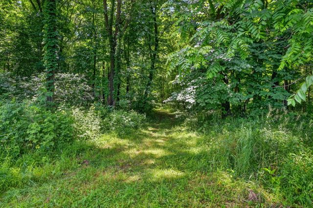 64030 Chain Lake Street, Calvin Twp, MI 49031