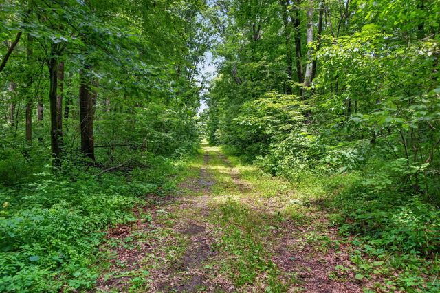 64030 Chain Lake Street, Calvin Twp, MI 49031