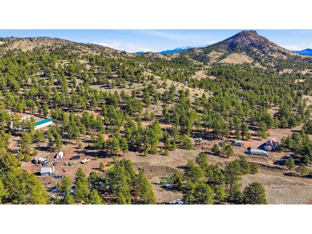 133 Wagon Wheel Cir, Guffey, CO 80820