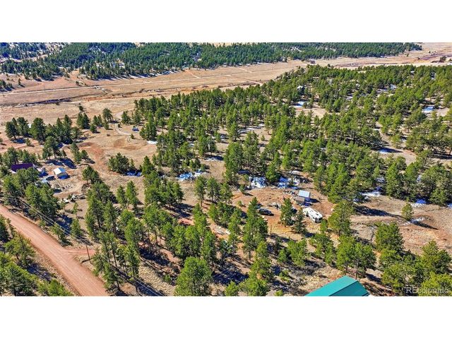 133 Wagon Wheel Cir, Guffey, CO 80820