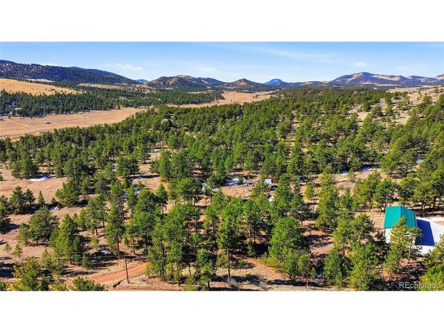 133 Wagon Wheel Cir, Guffey, CO 80820