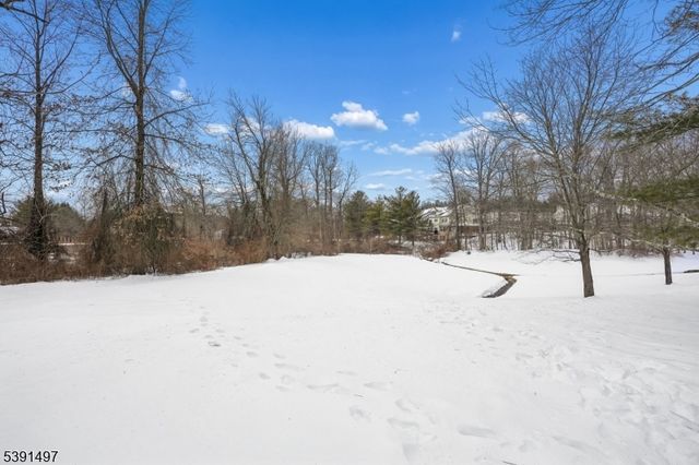 50 Pippins Way, Morris Twp., NJ 07960