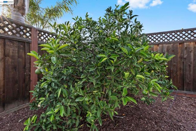 3986 California Way, Livermore, CA 94550
