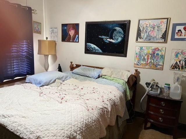 4442 Leeland Street, Houston, TX 77023