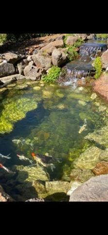 3217 Pleasant Valley Rd, Placerville, CA 95667