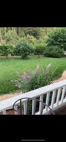 3217 Pleasant Valley Rd, Placerville, CA 95667