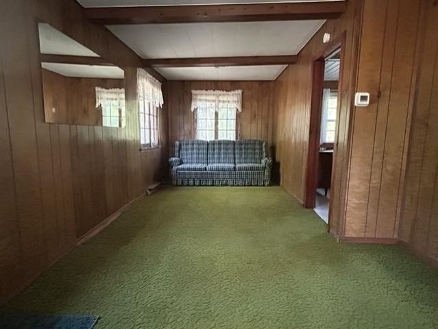 481 Baldwin Resort Road, Baldwin Twp, MI 48730