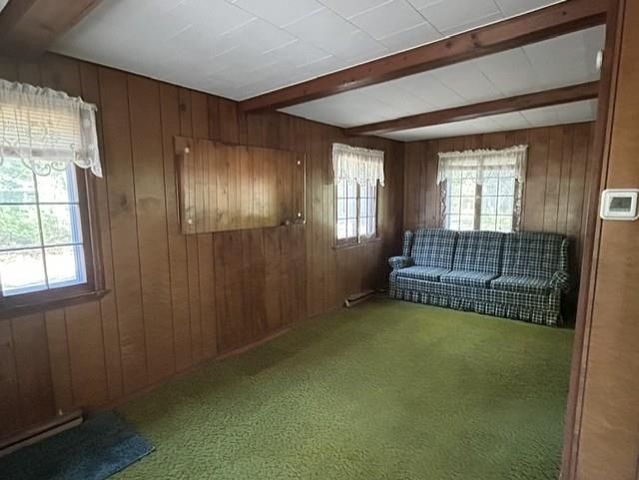481 Baldwin Resort Road, Baldwin Twp, MI 48730
