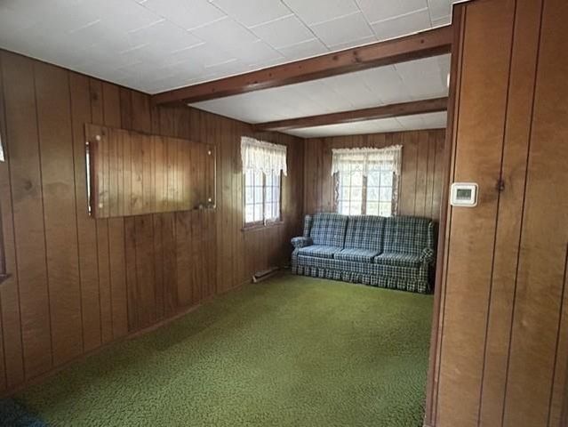 481 Baldwin Resort Road, Baldwin Twp, MI 48730