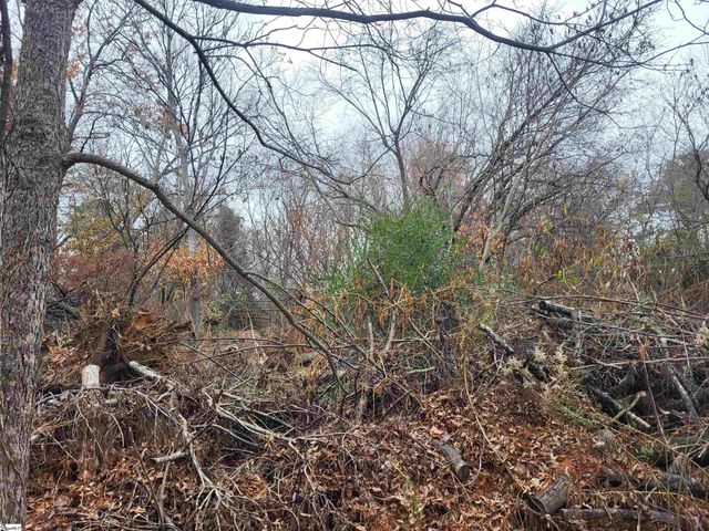 0 Pinecroft Drive, Taylors, SC 29687