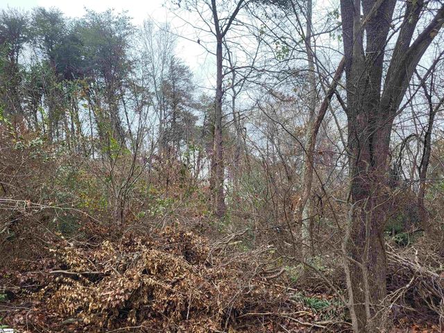 0 Pinecroft Drive, Taylors, SC 29687