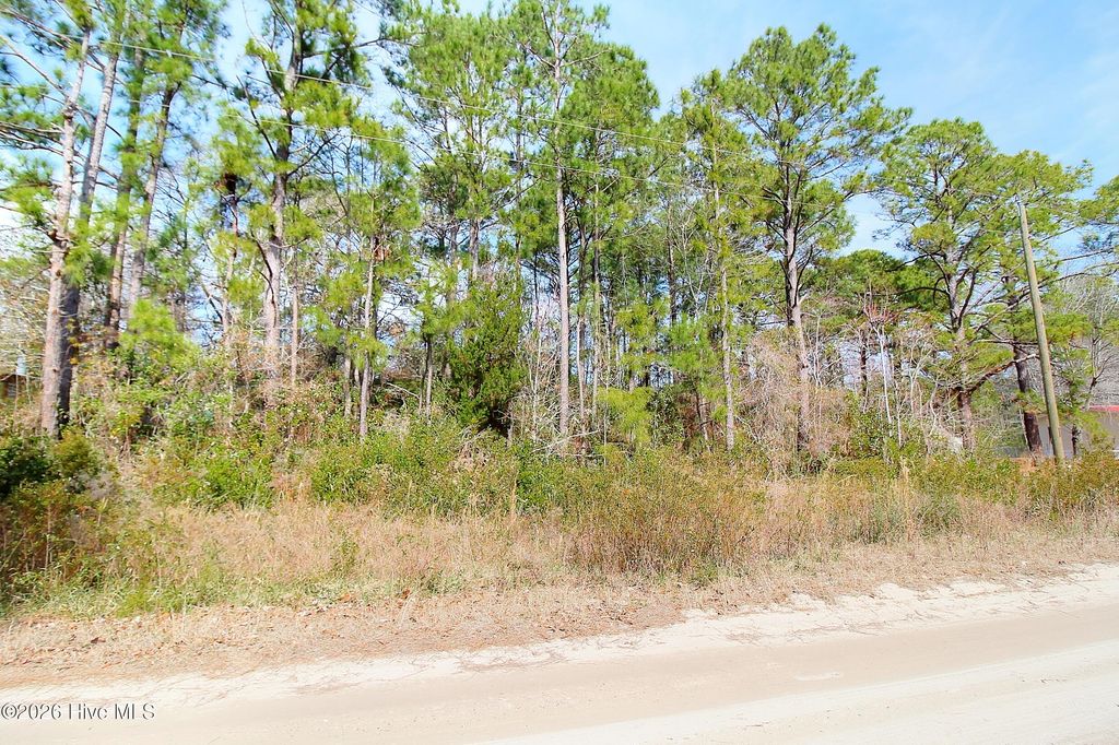 2890 Bird Drive SW, Shallotte, NC 28470