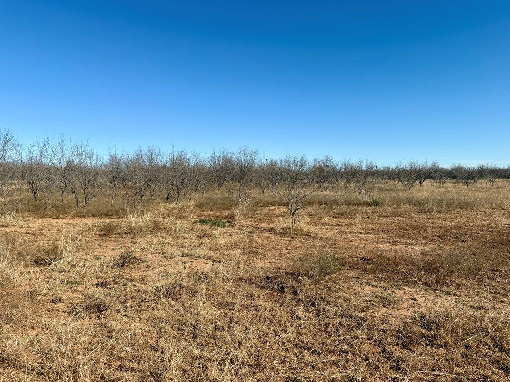 Image 10 of property listing at 00 W Hwy 158, Bronte, TX 76933