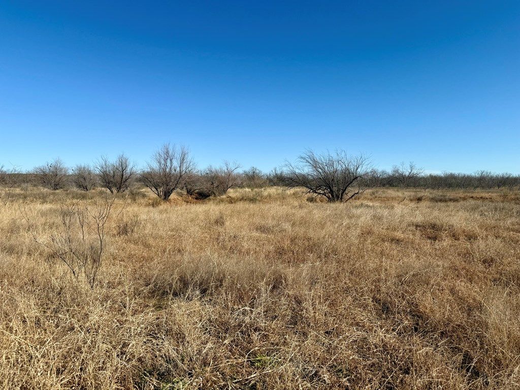 Image 11 of property listing at 00 W Hwy 158, Bronte, TX 76933