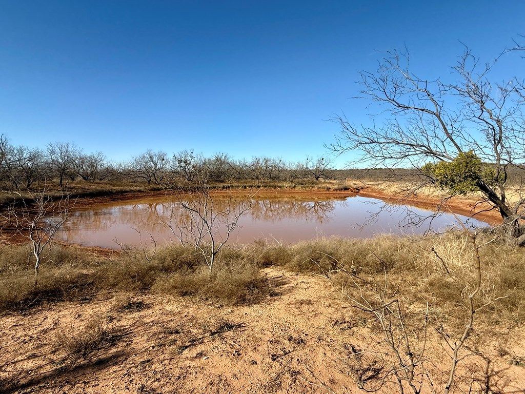 Image 12 of property listing at 00 W Hwy 158, Bronte, TX 76933