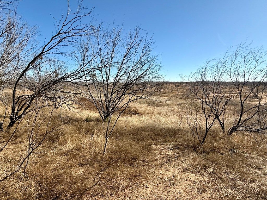 Image 13 of property listing at 00 W Hwy 158, Bronte, TX 76933