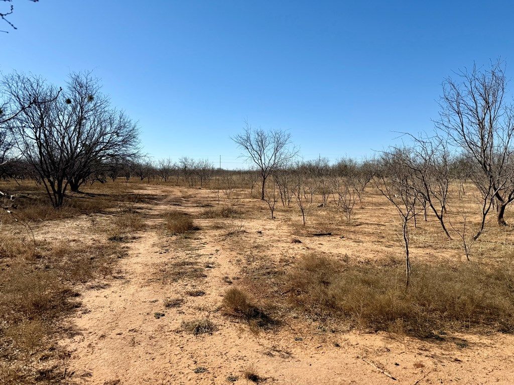 Image 14 of property listing at 00 W Hwy 158, Bronte, TX 76933