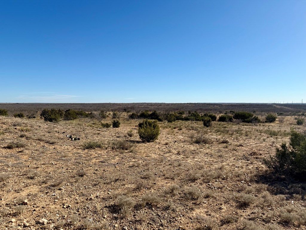 Image 19 of property listing at 00 W Hwy 158, Bronte, TX 76933