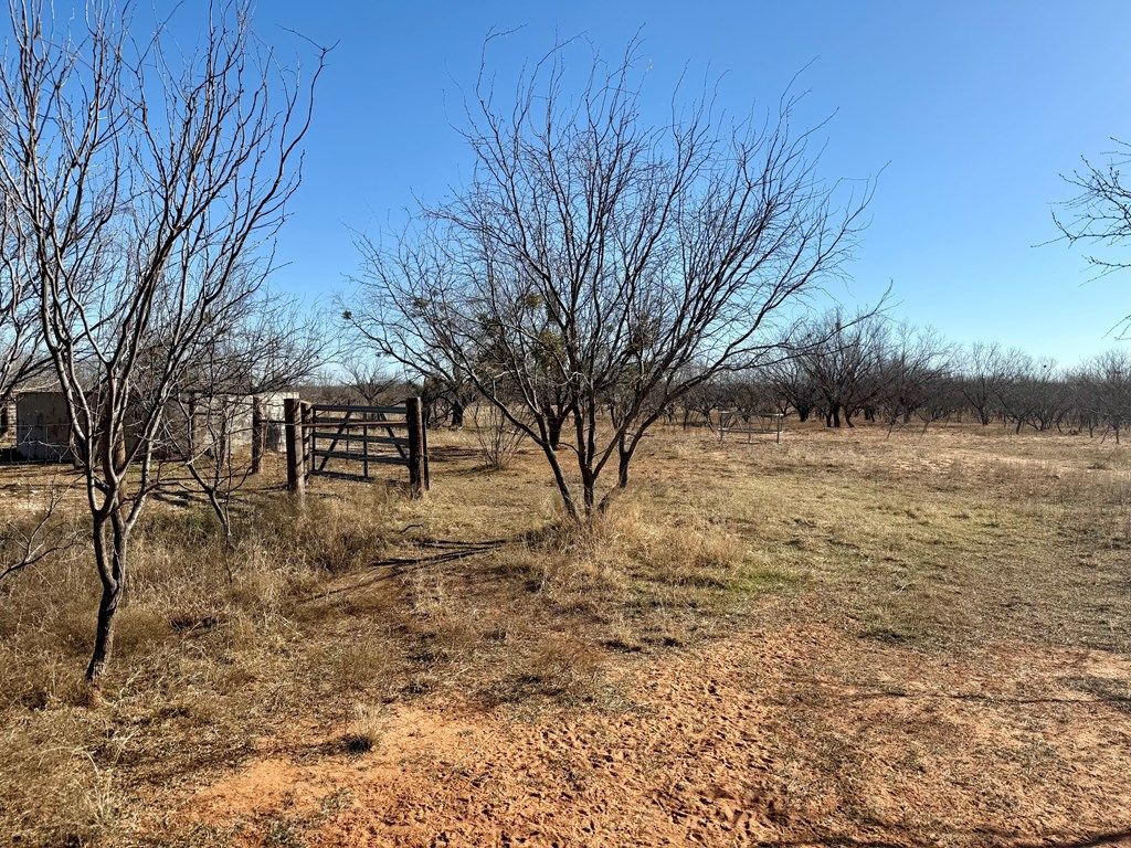 Image 7 of property listing at 00 W Hwy 158, Bronte, TX 76933