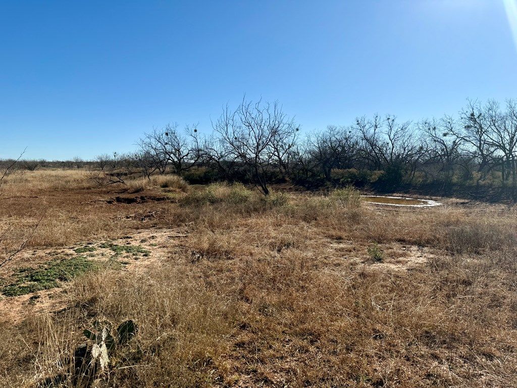 Image 9 of property listing at 00 W Hwy 158, Bronte, TX 76933