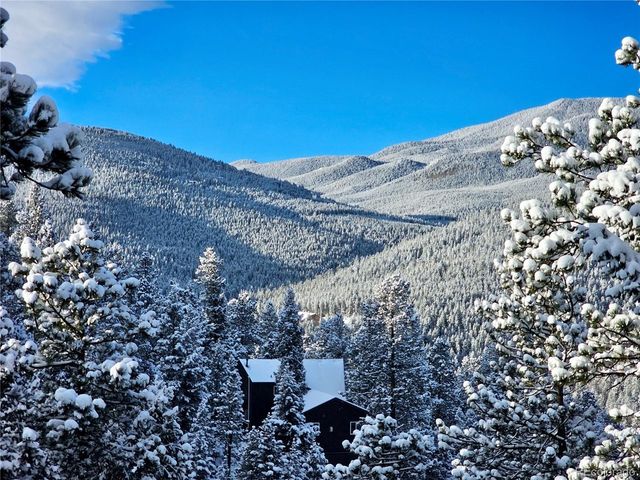 32783 Lodgepole Cir, Evergreen, CO 80439