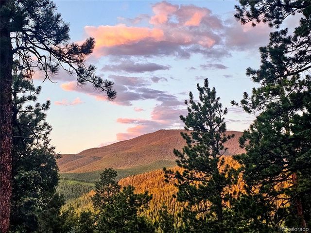 32783 Lodgepole Cir, Evergreen, CO 80439